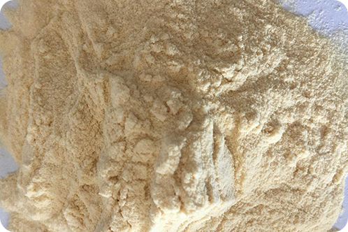 Protein Hydrolysate