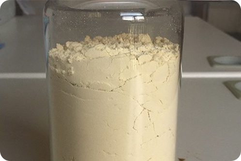 Plant Protein